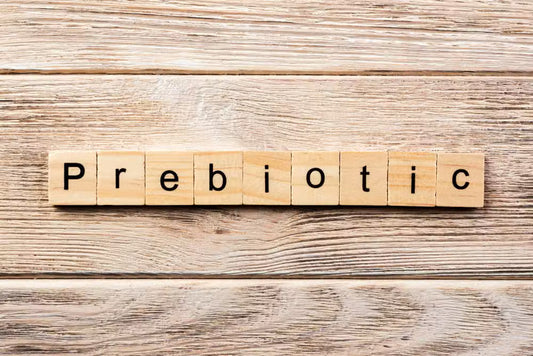 Why Prebiotics Matter in Probiotic Cleaning