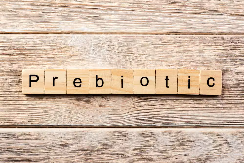 Why Prebiotics Matter in Probiotic Cleaning
