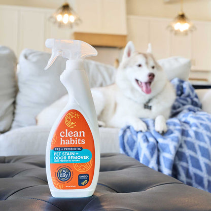 Clean Habits Pre + Probiotic Pet Spray & Odor Remover IRL